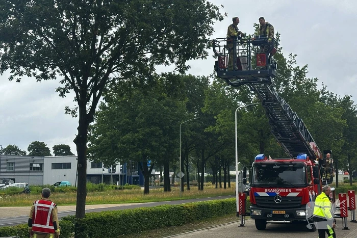 Dier in nood gered met ladderwagen
