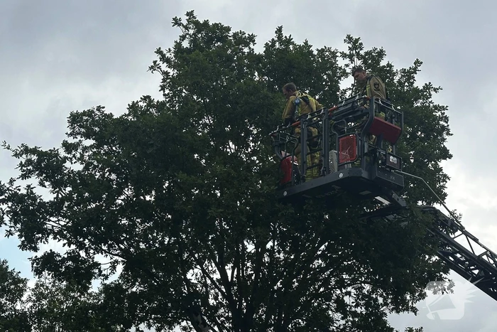 Dier in nood gered met ladderwagen