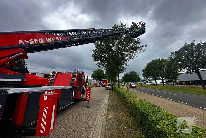 Dier in nood gered met ladderwagen