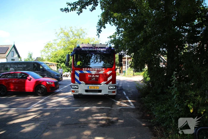 Brandweer blust boomstam na oversteek
