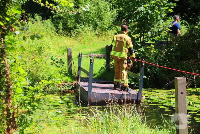 Brandweer blust boomstam na oversteek