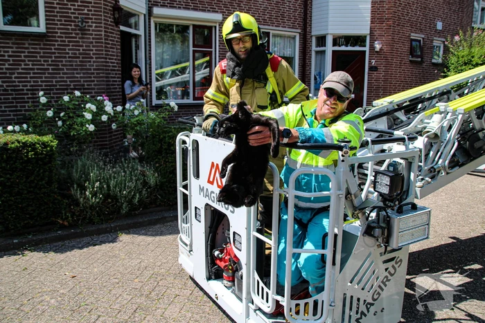 Dierenambulance in actie voor vastzittende kat