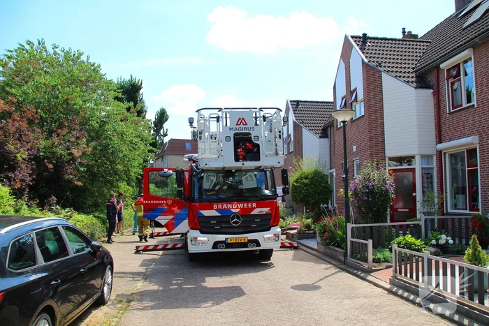 Dierenambulance in actie voor vastzittende kat