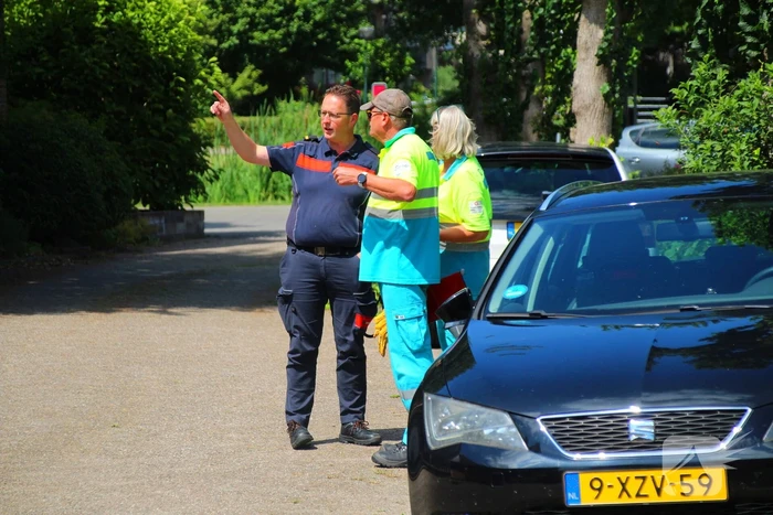 Dierenambulance in actie voor vastzittende kat