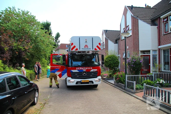 Dierenambulance in actie voor vastzittende kat