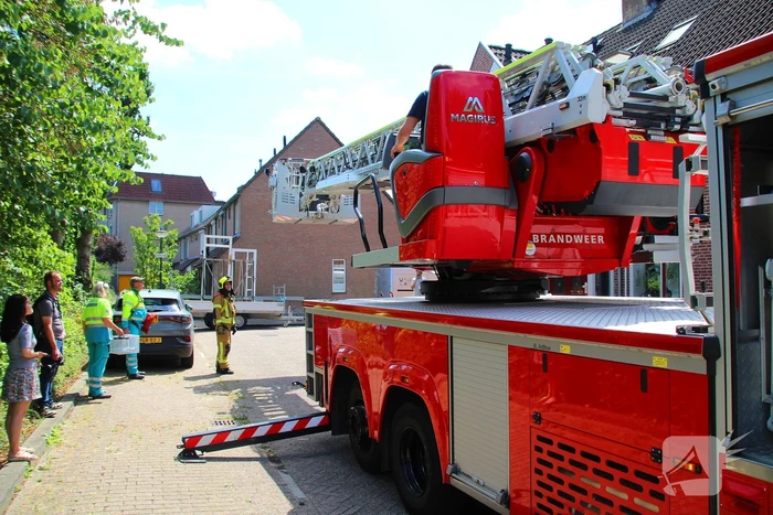 Dierenambulance in actie voor vastzittende kat
