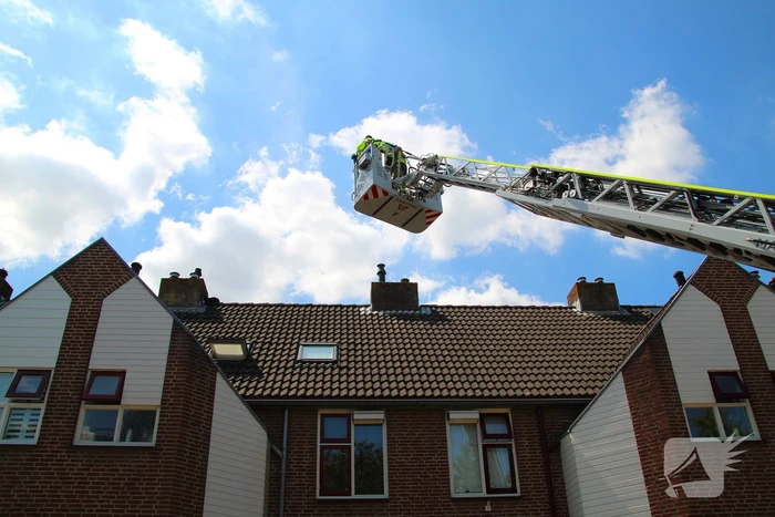 Dierenambulance in actie voor vastzittende kat