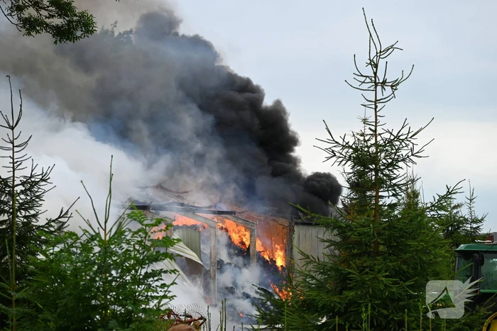 Brand verwoest loods vol stro