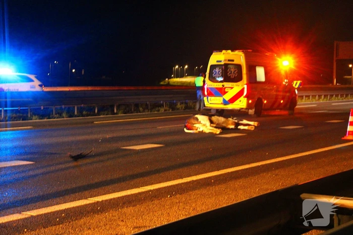 ongeval rijksweg a28 r 98,1 zwolle