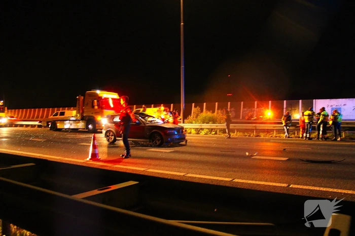 Loslopende koe zorgt voor ongeval op snelweg