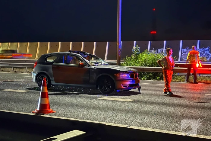 Loslopende koe zorgt voor ongeval op snelweg