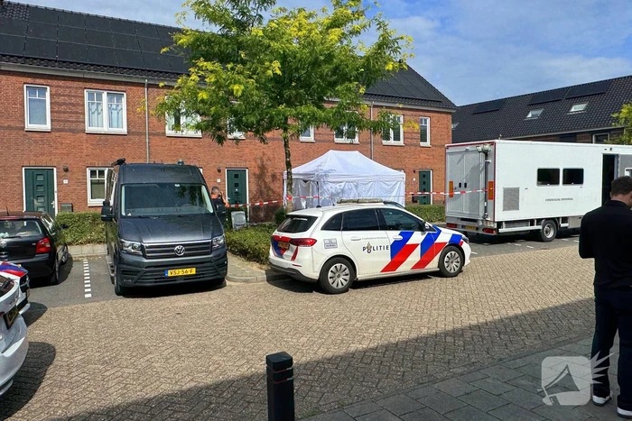 nieuws parklaan vlijmen