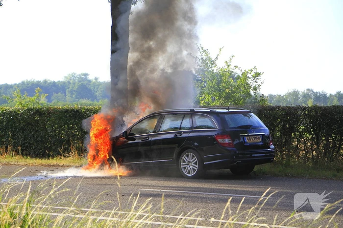 Autobrand verwoest voertuig