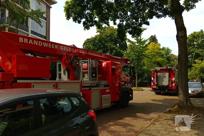 Brandweer meermaals ingezet voor kat in boom