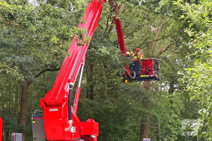 natuur markeweg dalfsen