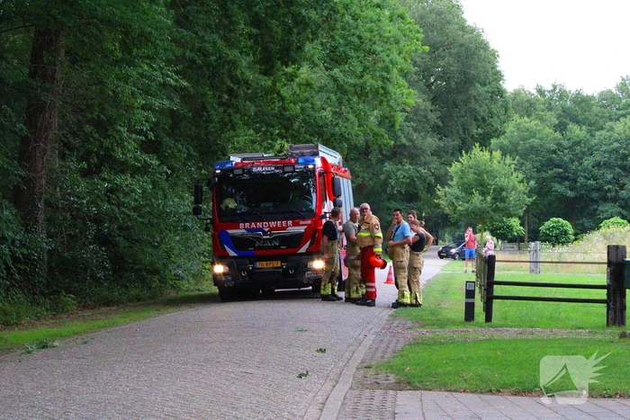 Hoogwerker inzet bij stormschade