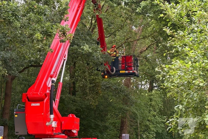 Hoogwerker inzet bij stormschade
