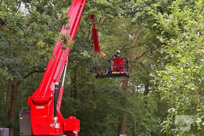 Hoogwerker inzet bij stormschade