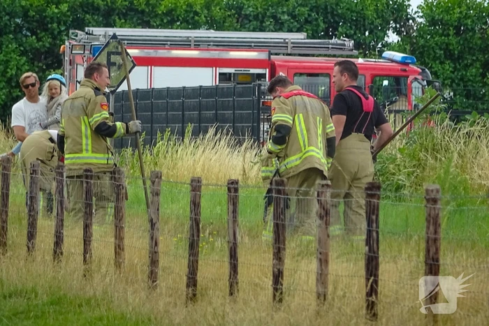 Stoomtrein veroorzaakt meerdere bermbrand in één week