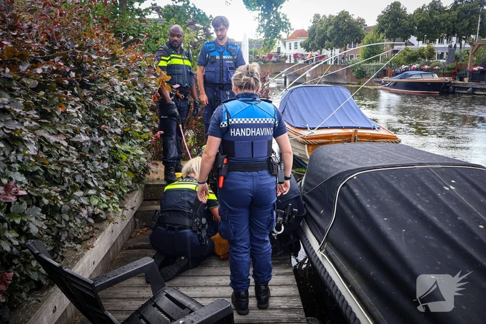 Hert gered uit de Rijn na sprongetje te water