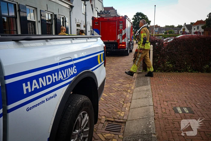 Hert gered uit de Rijn na sprongetje te water