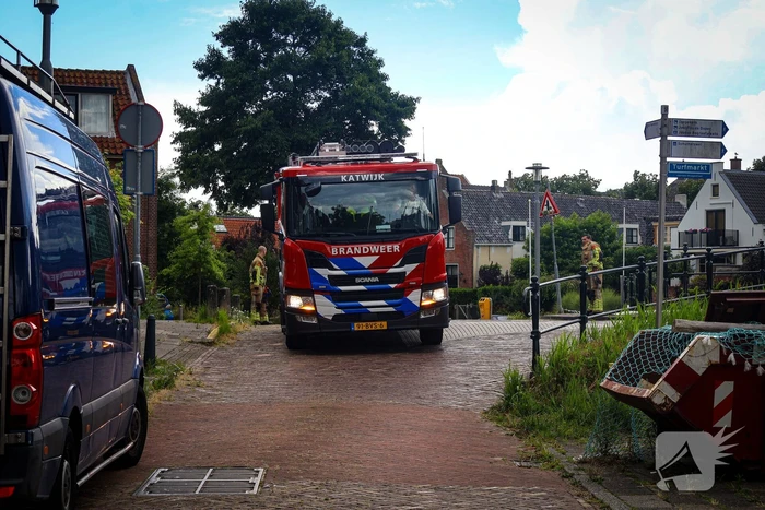 Hert gered uit de Rijn na sprongetje te water