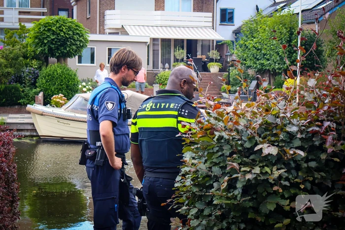 Hert gered uit de Rijn na sprongetje te water