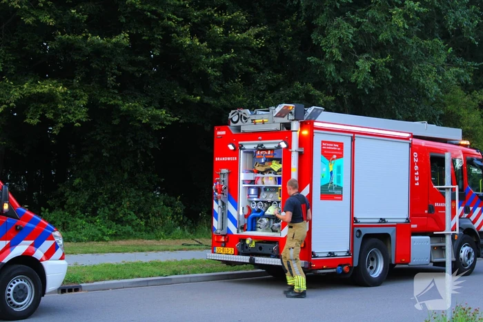 Droog gras veroorzaakt buitenbrand