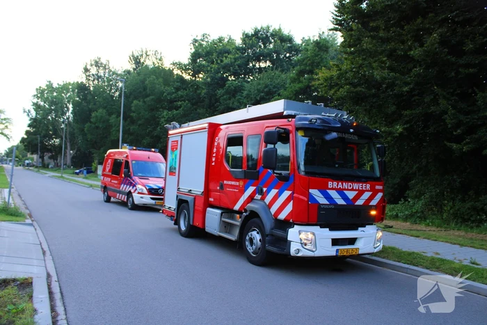 Droog gras veroorzaakt buitenbrand