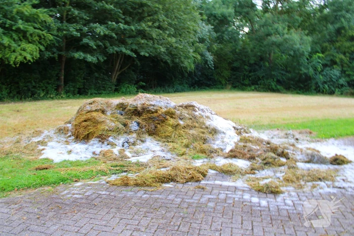 Droog gras veroorzaakt buitenbrand