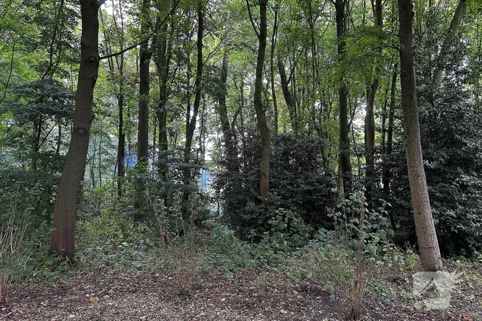 Brand in hut door onbekende oorzaak