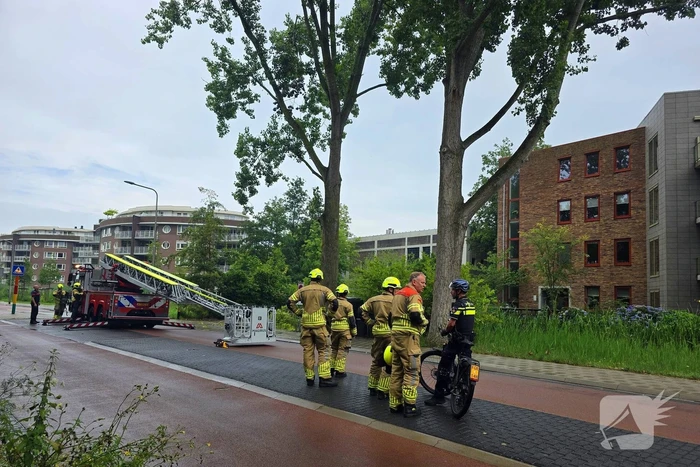 Brandweer verwijdert gevaarlijke boomtak