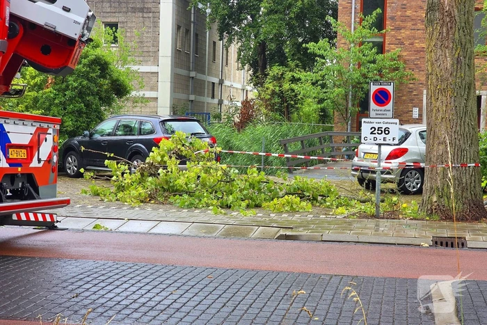 Brandweer verwijdert gevaarlijke boomtak