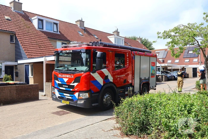 Brandweer redt kat Frenkie van dak