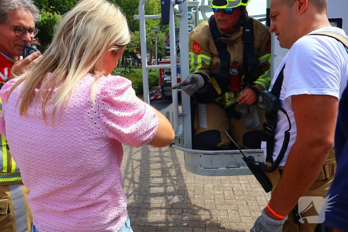 Brandweer redt kat Frenkie van dak
