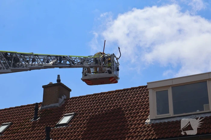 Brandweer redt kat Frenkie van dak