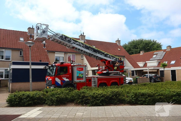 Brandweer redt kat Frenkie van dak