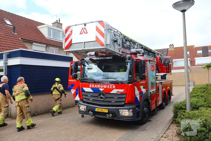 Brandweer redt kat Frenkie van dak