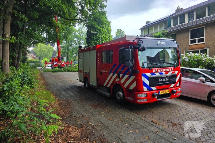 natuur sijsseltselaan ede