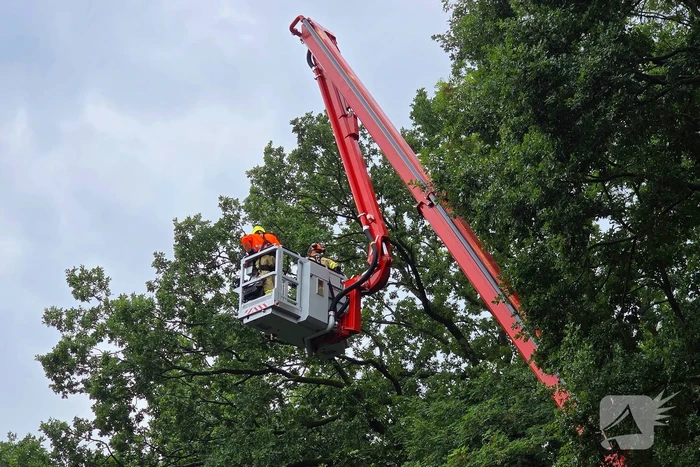 stormschade leidt tot ingrijpen brandweer