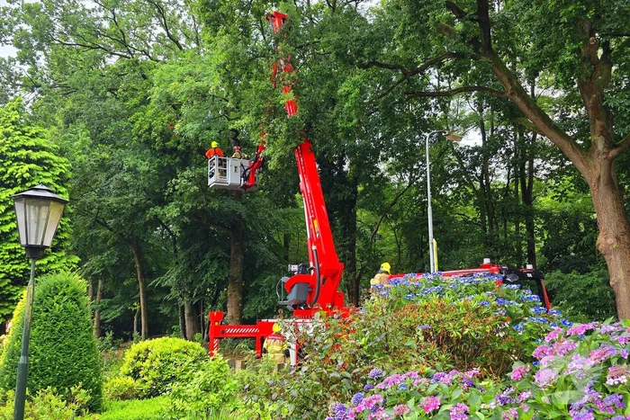 stormschade leidt tot ingrijpen brandweer