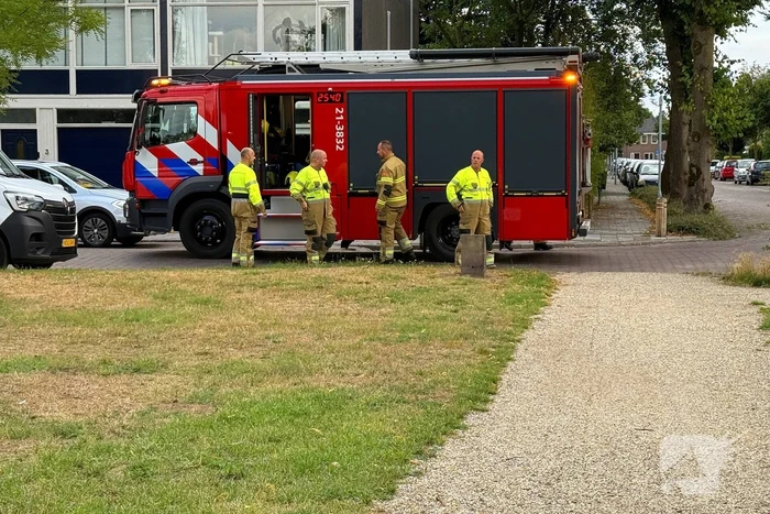 brand cellostraat uden