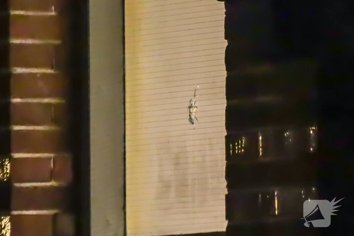 Schietincident in woning leidt tot forensisch onderzoek