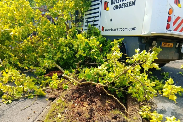 Veegwagen botst op boom
