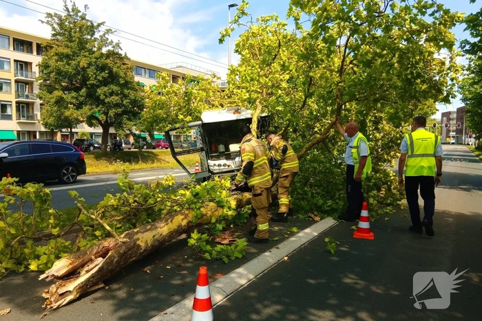 Veegwagen botst op boom