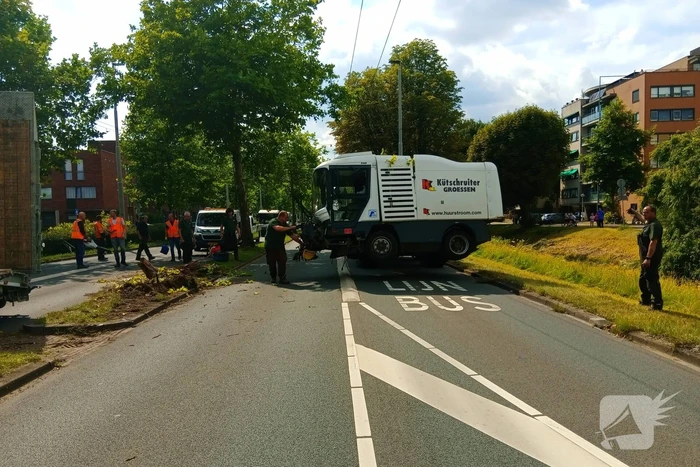 Veegwagen botst op boom