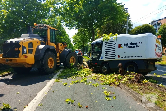 Veegwagen botst op boom