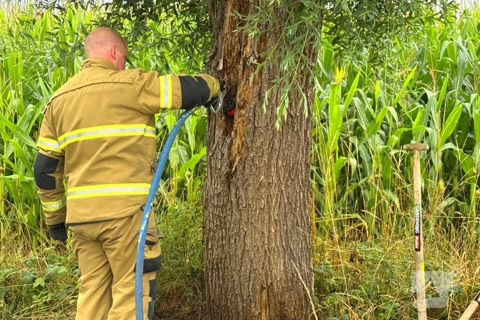 Buitenbrand aan fietspad onder controle