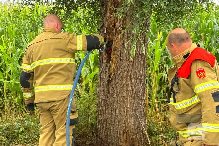 Buitenbrand aan fietspad onder controle