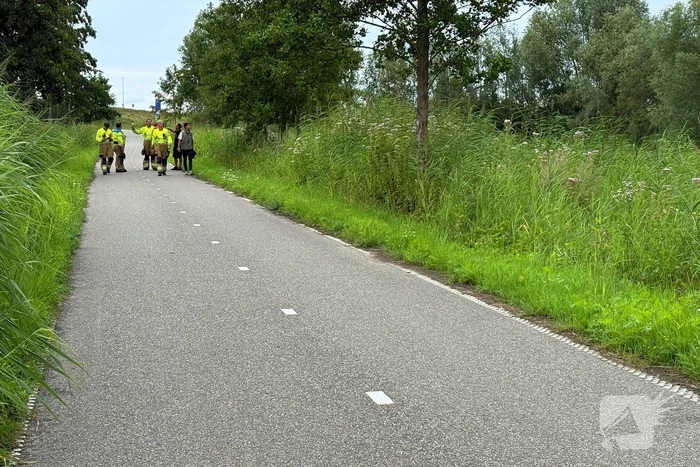 Jonge zwaan gered en herenigd met moeder